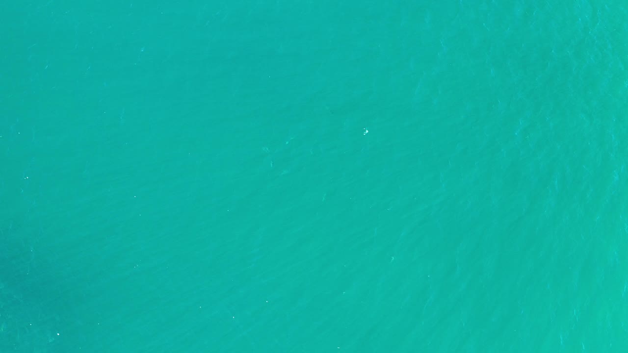 Clean teal water with subtle underwater texture