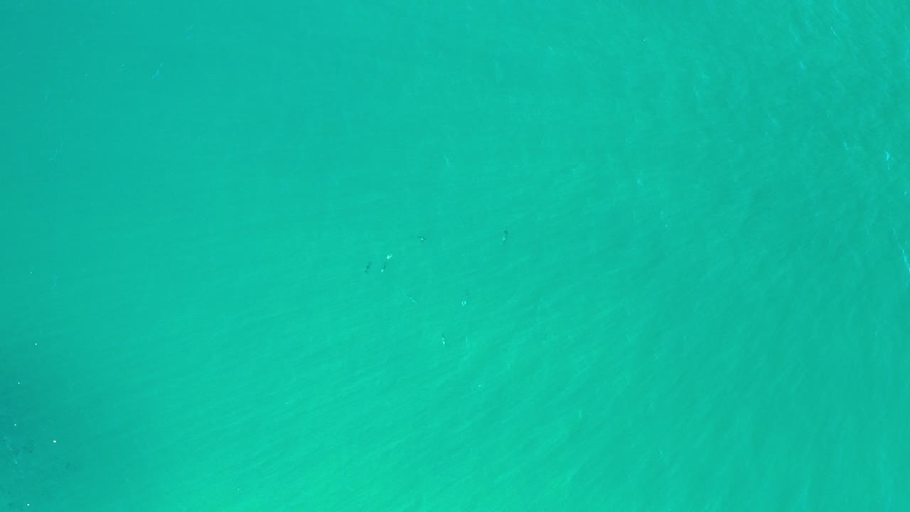 Turquoise seawater fills the frame with faint underwater texture.