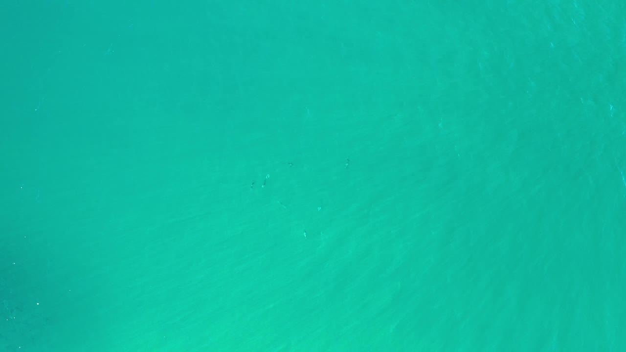 Blue-green seawater in Los Cabos, Mexico, fills the frame with faint cloudy shapes below the surface and no visible people.