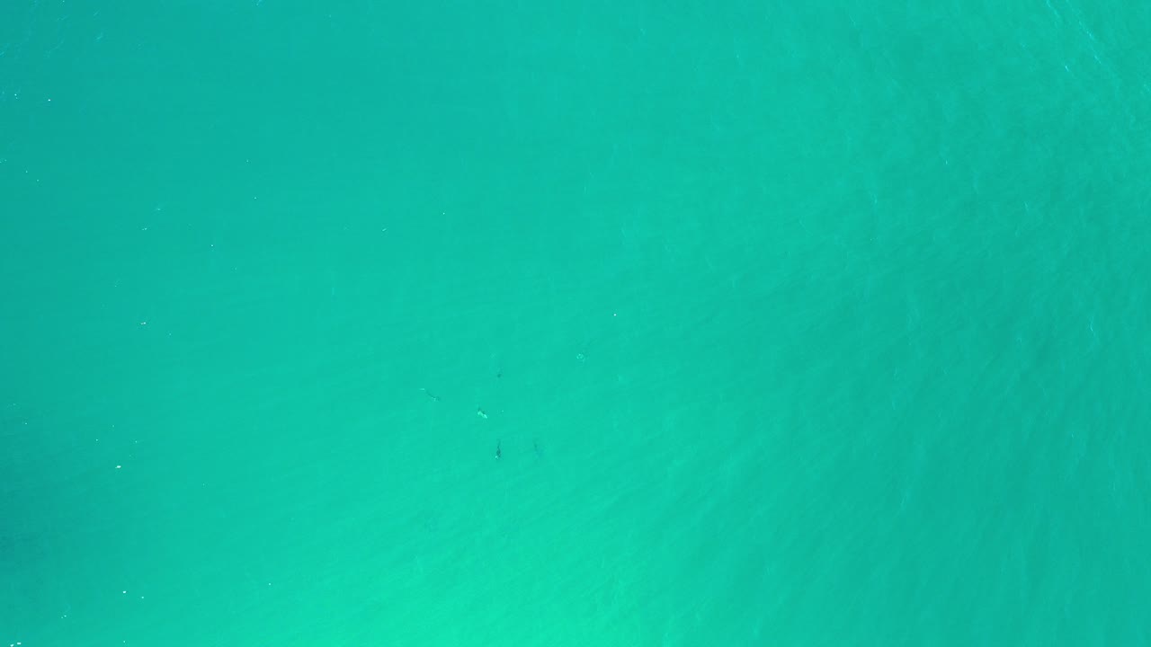 Opening frame of turquoise water in Los Cabos, Mexico with subtle underwater tonal variations and no visible people.