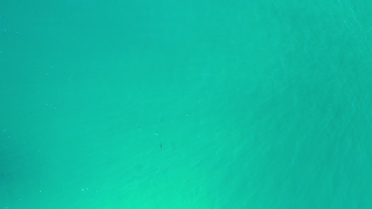 Turquoise coastal water fills the Los Cabos frame with soft rippling texture and no visible people or shoreline.