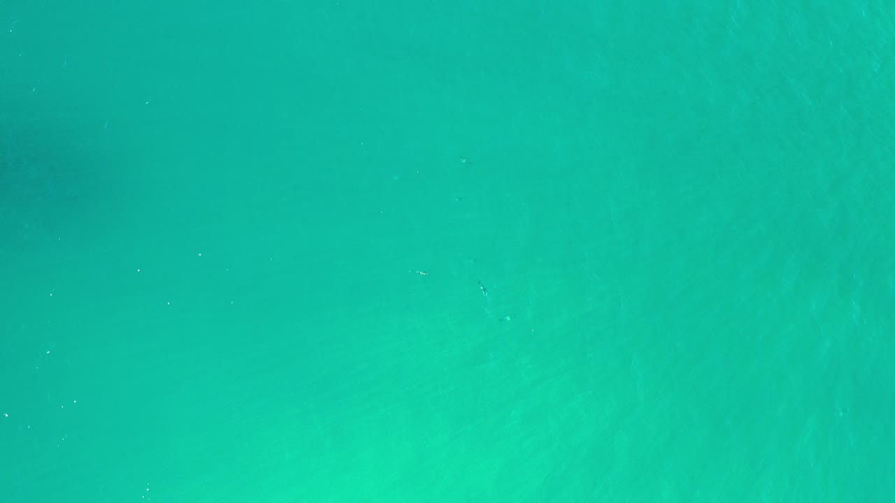 Turquoise water in Los Cabos fills the frame with faint darker patches beneath the surface and no visible people.