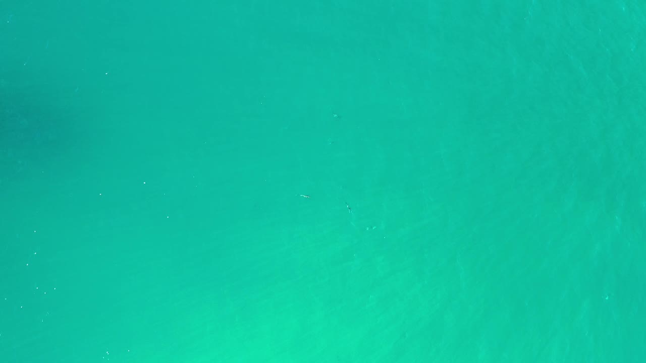 Green-blue Los Cabos water shows soft surface movement, slightly darker shadow areas, and no visible people or objects.