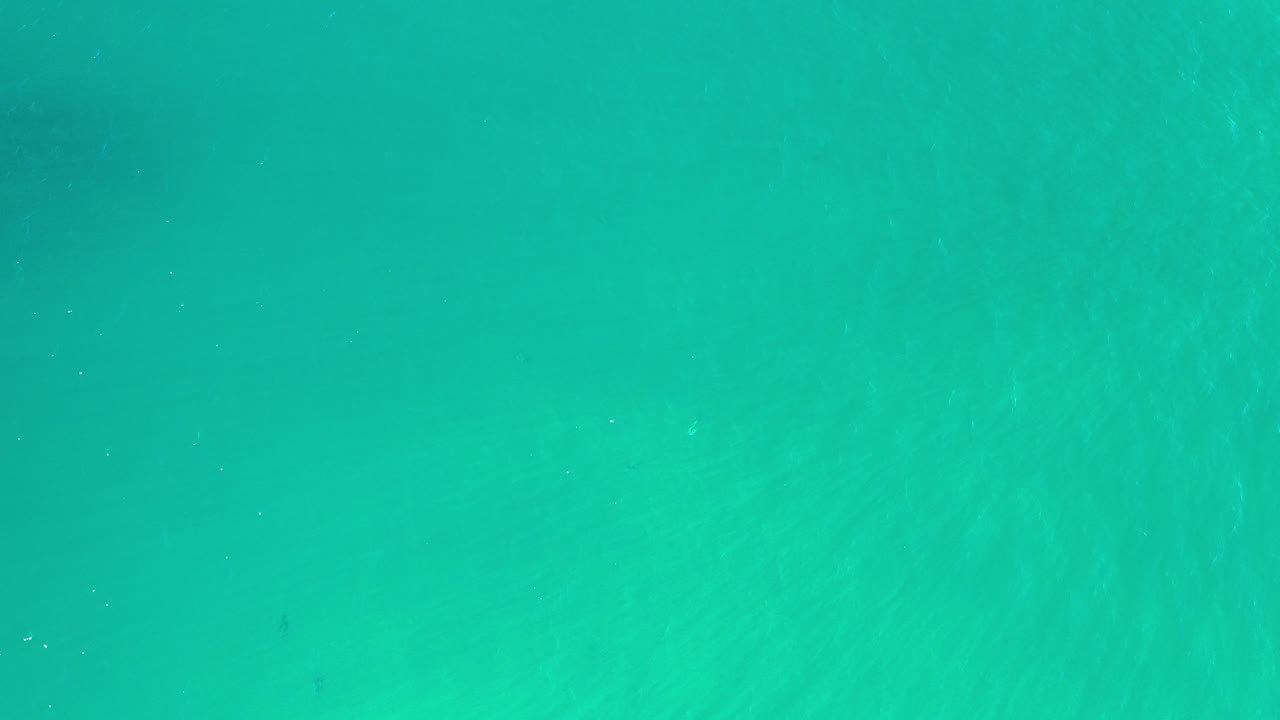 Clear green ocean water in Los Cabos fills the frame at the start of the clip, with faint surface streaks and no visible people.