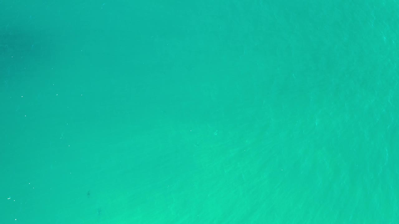 A calm teal-green water surface in Los Cabos fills the image, with slightly darker patches beneath the surface and no visible people.