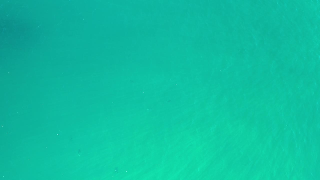 Bright green ocean with faint ripples.