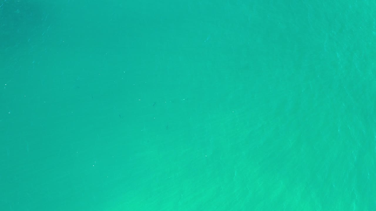 Overhead view of aqua-green sea water in Los Cabos, Mexico, with faint surface streaks and no visible people.