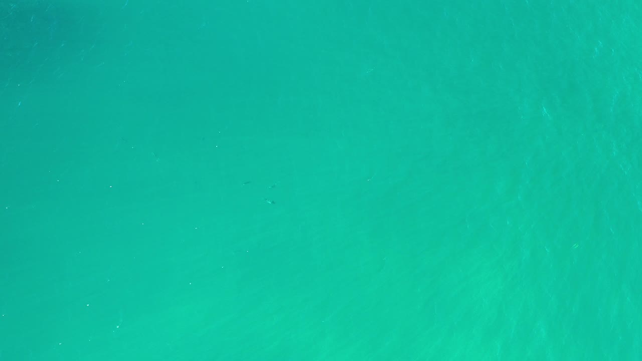 Clear green water with faint ripples