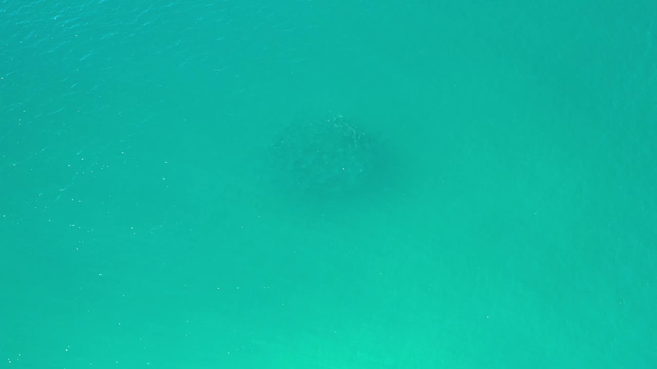 Blue-green Los Cabos water fills the frame, with soft submerged shadows and scattered surface specks, and no visible people.
