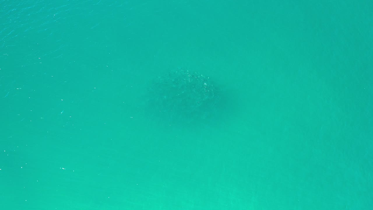 Opening underwater view from Los Cabos, Mexico, with turquoise water, scattered particles, faint dark fish shapes in the distance, and no visible people.