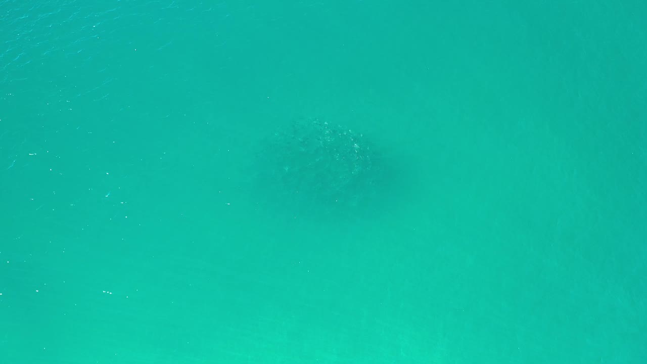 Los Cabos underwater frame with blue-green water and several blurred dark fish-like forms spread across the midground, with no visible people.