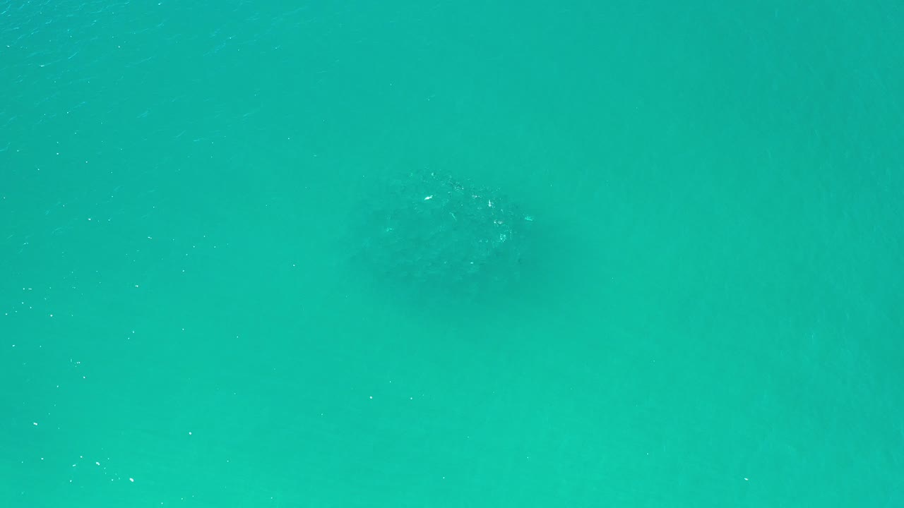 Underwater ocean field with faint particles and distant fish shapes.