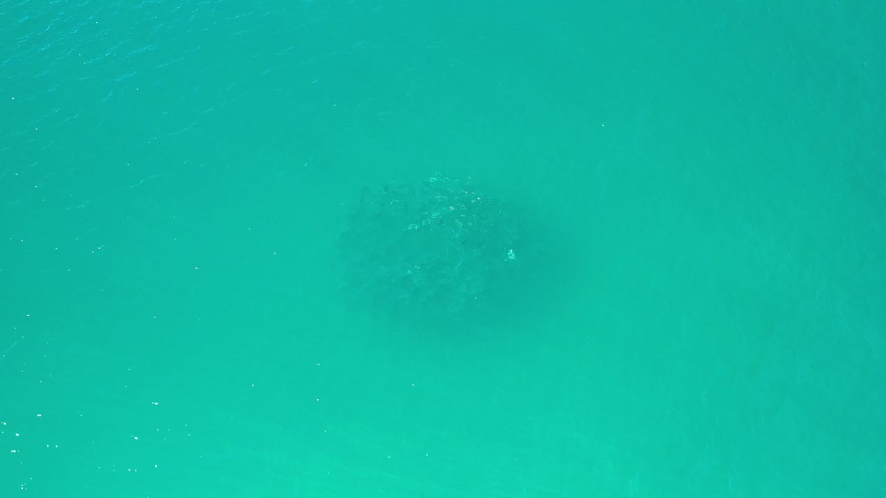 Turquoise water with a darker fish group near the upper right.