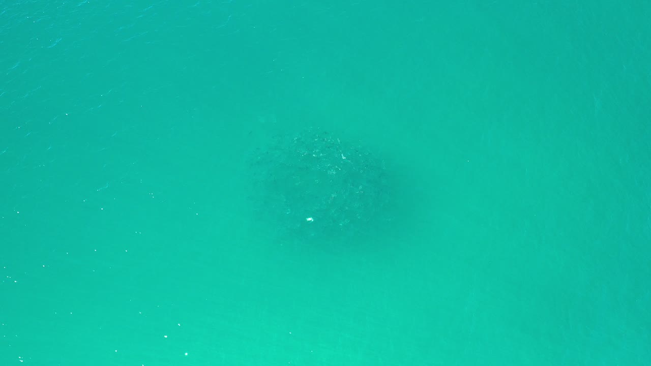 Top-down green seawater with darker underwater patches.