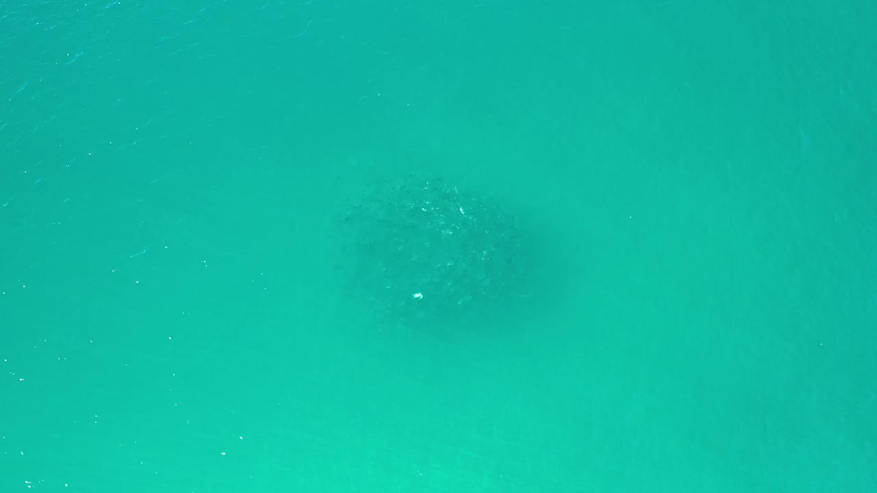 Top-down Los Cabos water frame with a turquoise cast, faint white specks on the surface, darker patches beneath, and no visible people.
