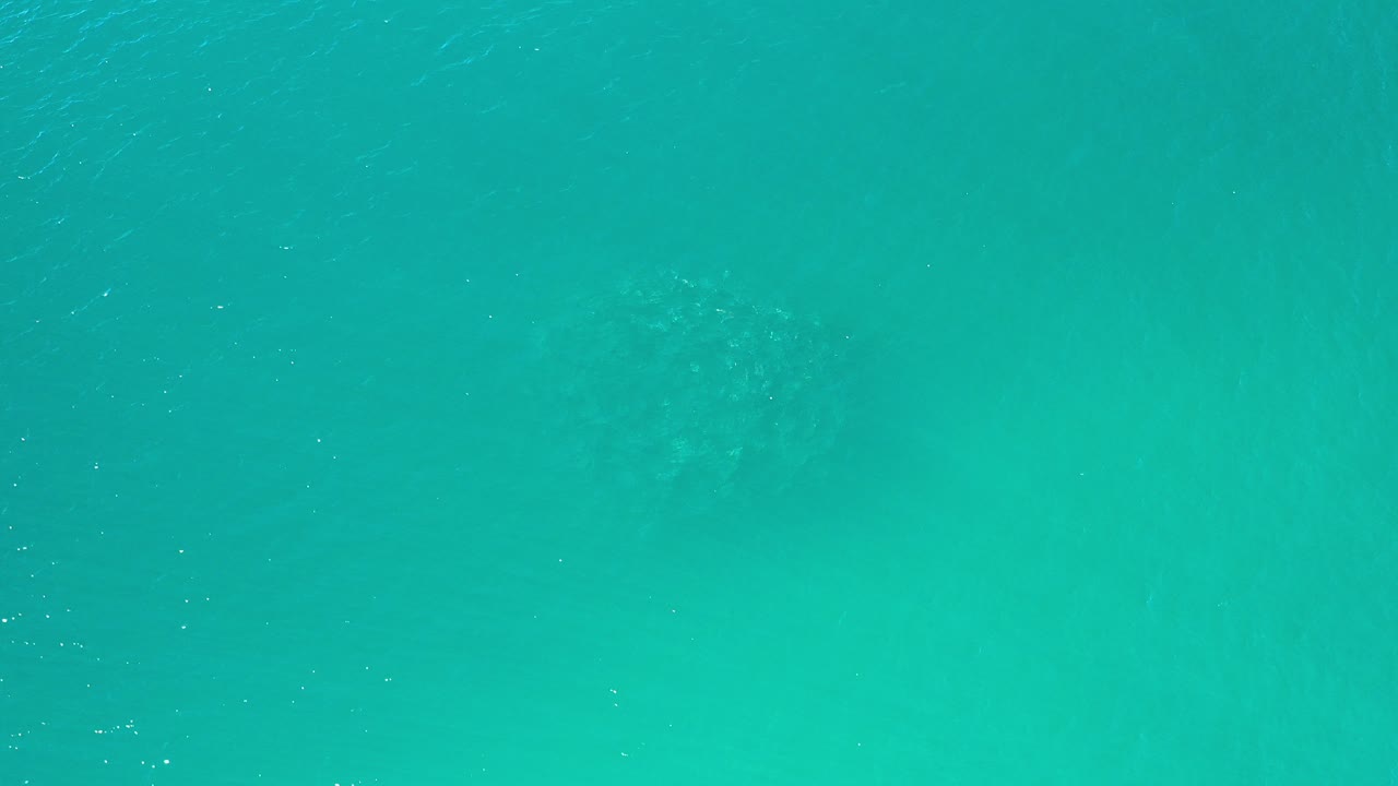 Overhead view of turquoise green sea in Los Cabos, Mexico, with soft darker areas under the surface and no visible people.