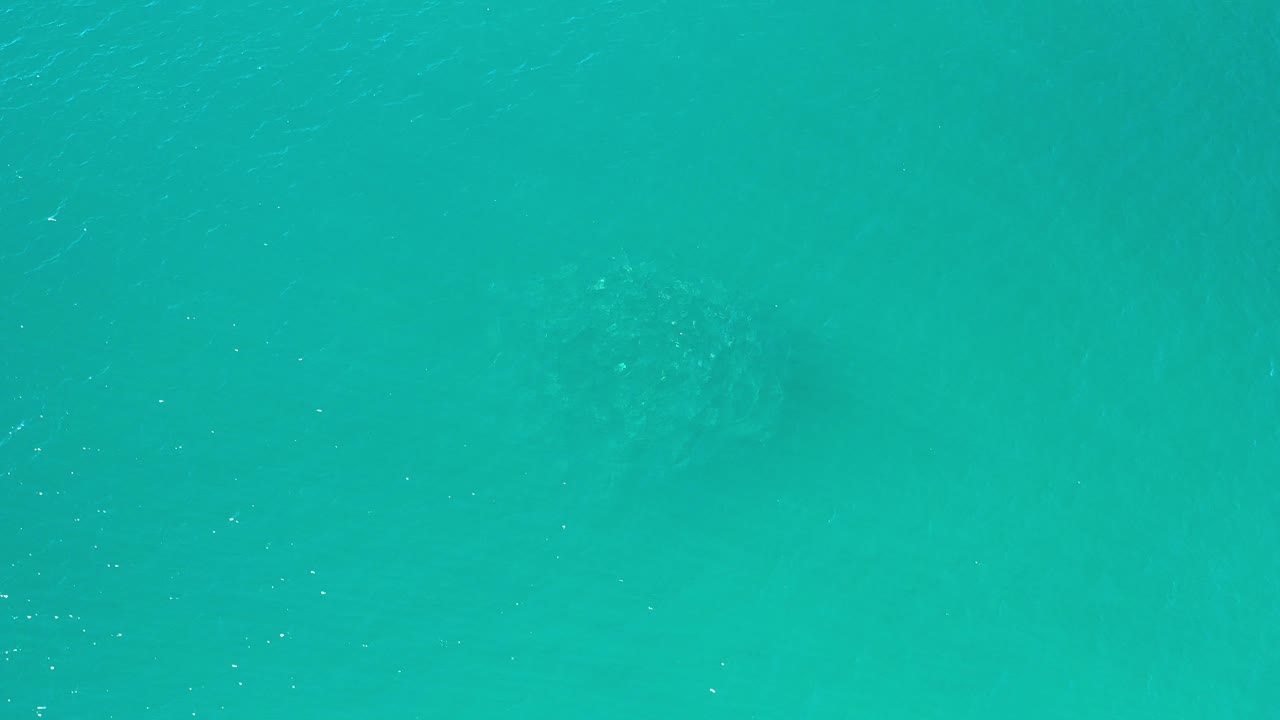 Aerial-looking sea surface with darker patches below.