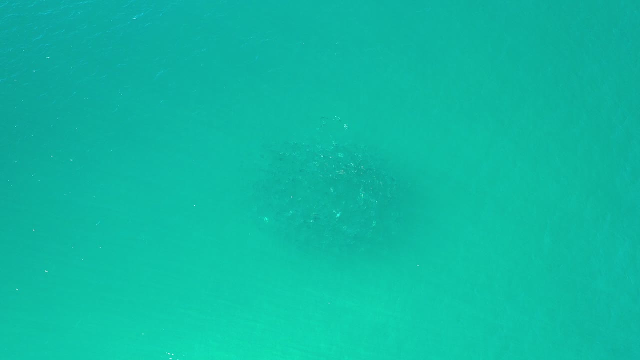 Opening underwater frame from Los Cabos, Mexico with turquoise water, faint bubbles near the upper area, soft wave shadows, and no visible people.
