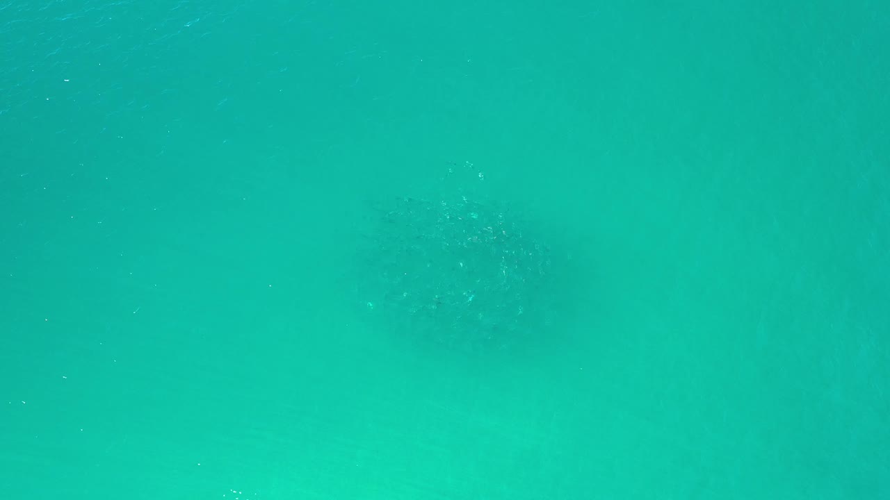 Underwater Los Cabos, Mexico frame with a darker clouded wave shadow toward the lower left, scattered small bubbles, and no visible people.