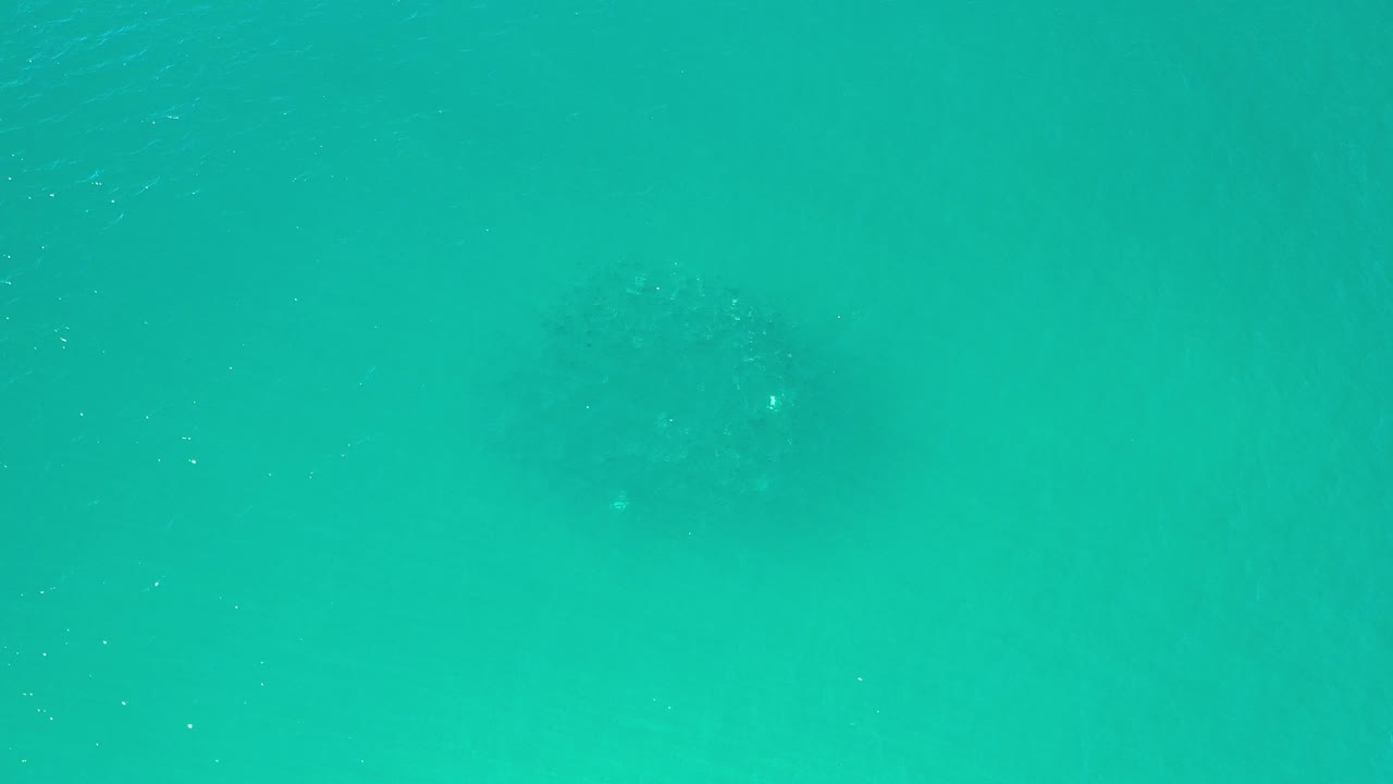 Teal-green water with a faint dark underwater shape.