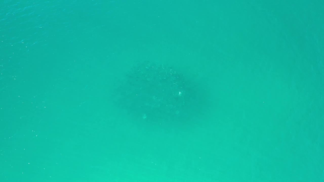 Green coastal water in Los Cabos, Mexico, with a blurred dark patch below the surface closer to the lower center and no visible people.