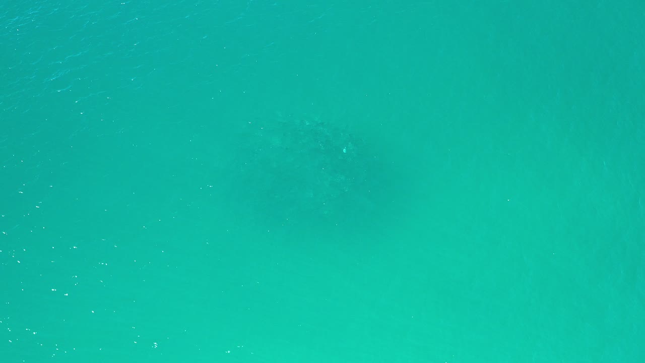 Teal ocean water in Los Cabos, Mexico fills the frame at the opening moment, with faint ripples and no visible people.