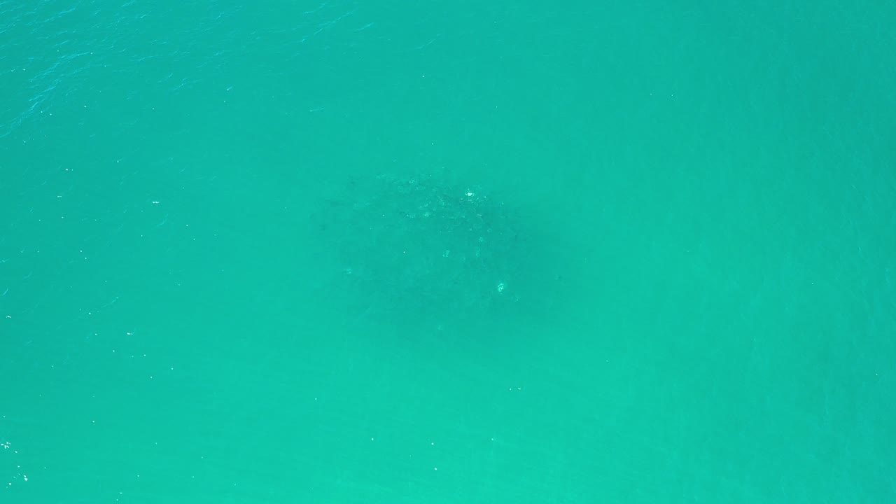 Turquoise water with faint dark fish shapes below the surface.