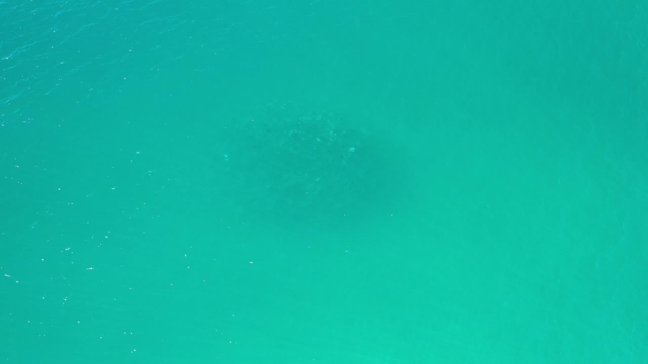 Green ocean surface in Los Cabos, Mexico, with a broad soft darker area beneath the water and no visible people.