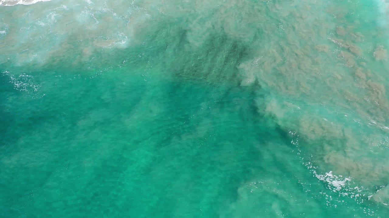 Overhead green ocean water with pale surf foam near the top edge.