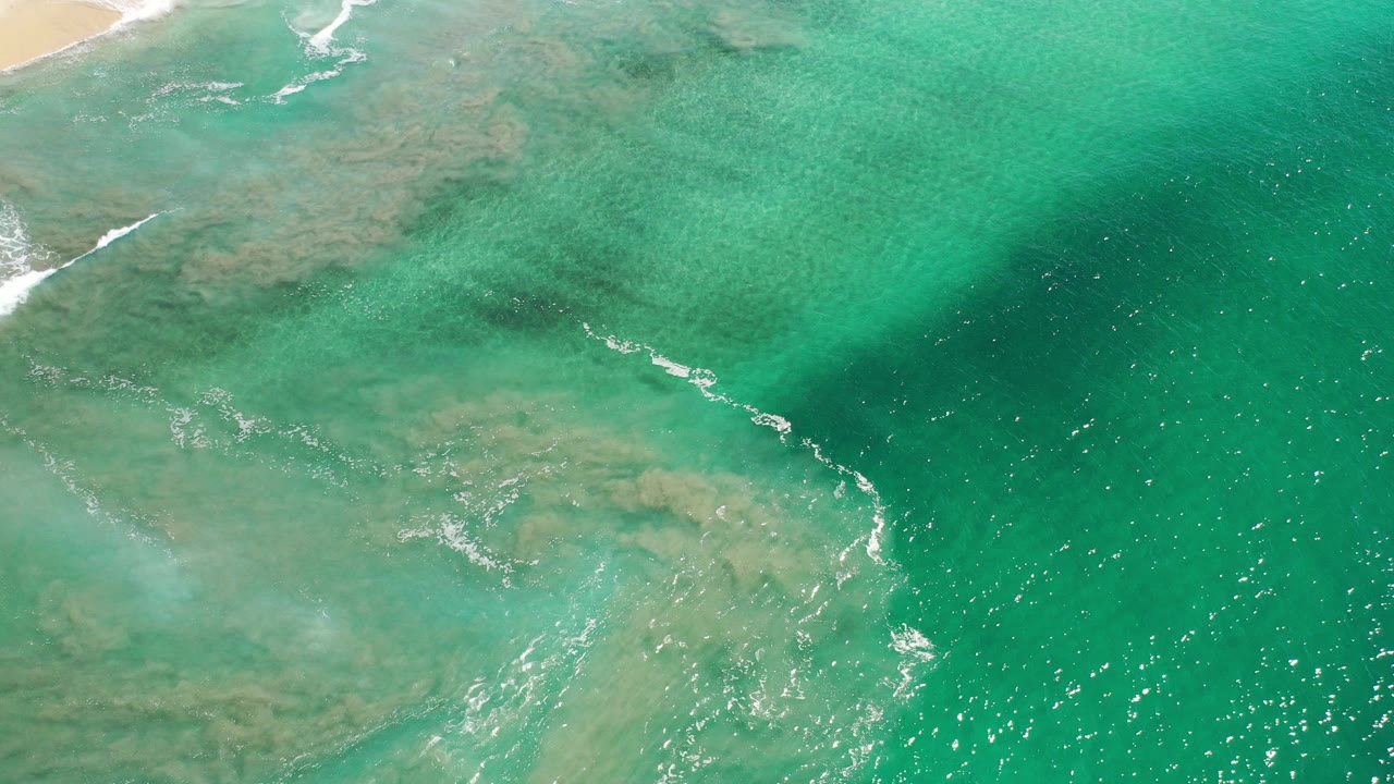 Overhead view of Los Cabos shoreline water with tan sand at the upper left, pale reef texture beneath green water, white wave lines, and no visible people.