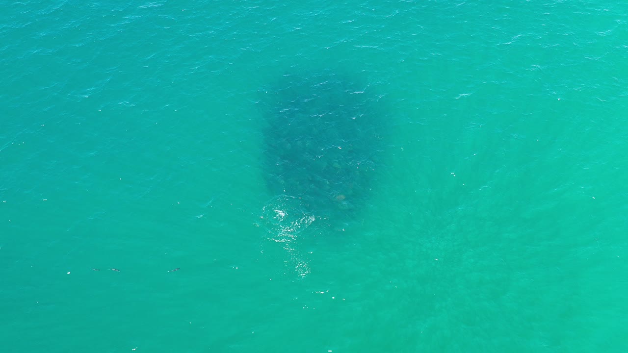 Turquoise ocean water with a dark school of fish below the surface.
