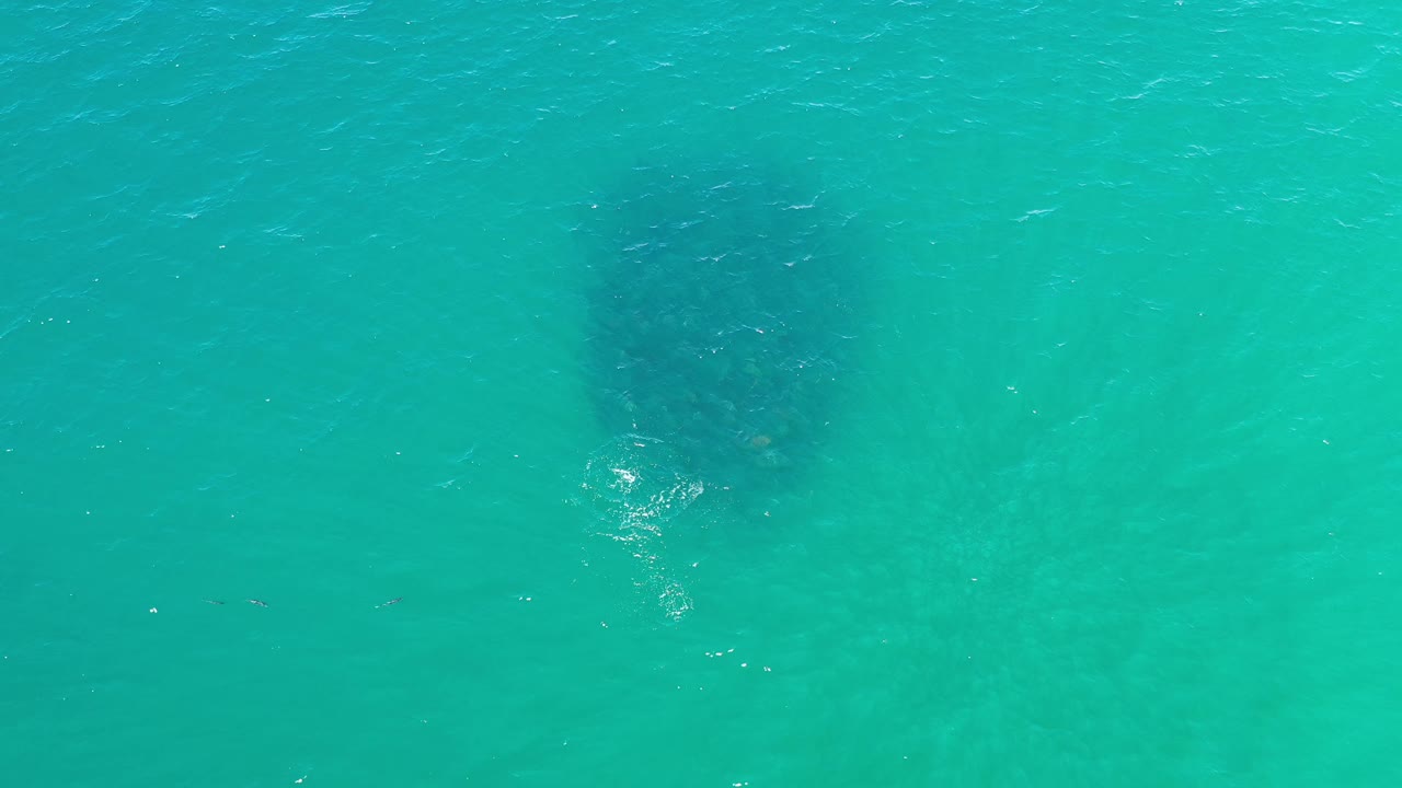 A compact school of fish sits below the rippled turquoise surface in Los Cabos, Mexico, slightly left of center with no visible people.