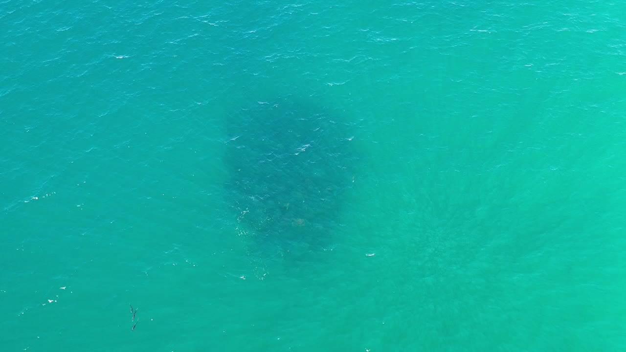 Opening frame of turquoise green water in Los Cabos, Mexico, with faint dark fish-school forms under rippled surface and no visible people.