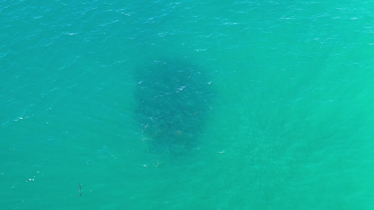 Green sea surface in Los Cabos, Mexico, with a broad shadowy fish school sitting below the water texture and no visible people.