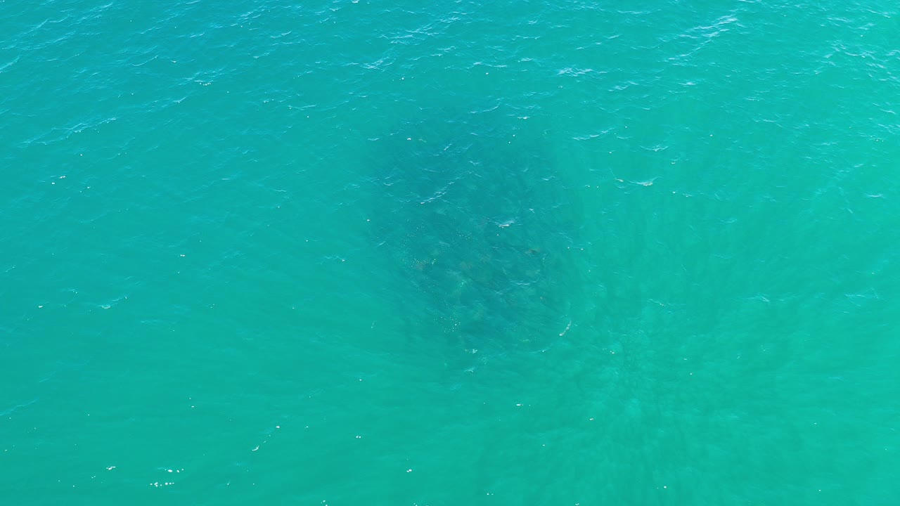Top-down turquoise water with fish below the surface