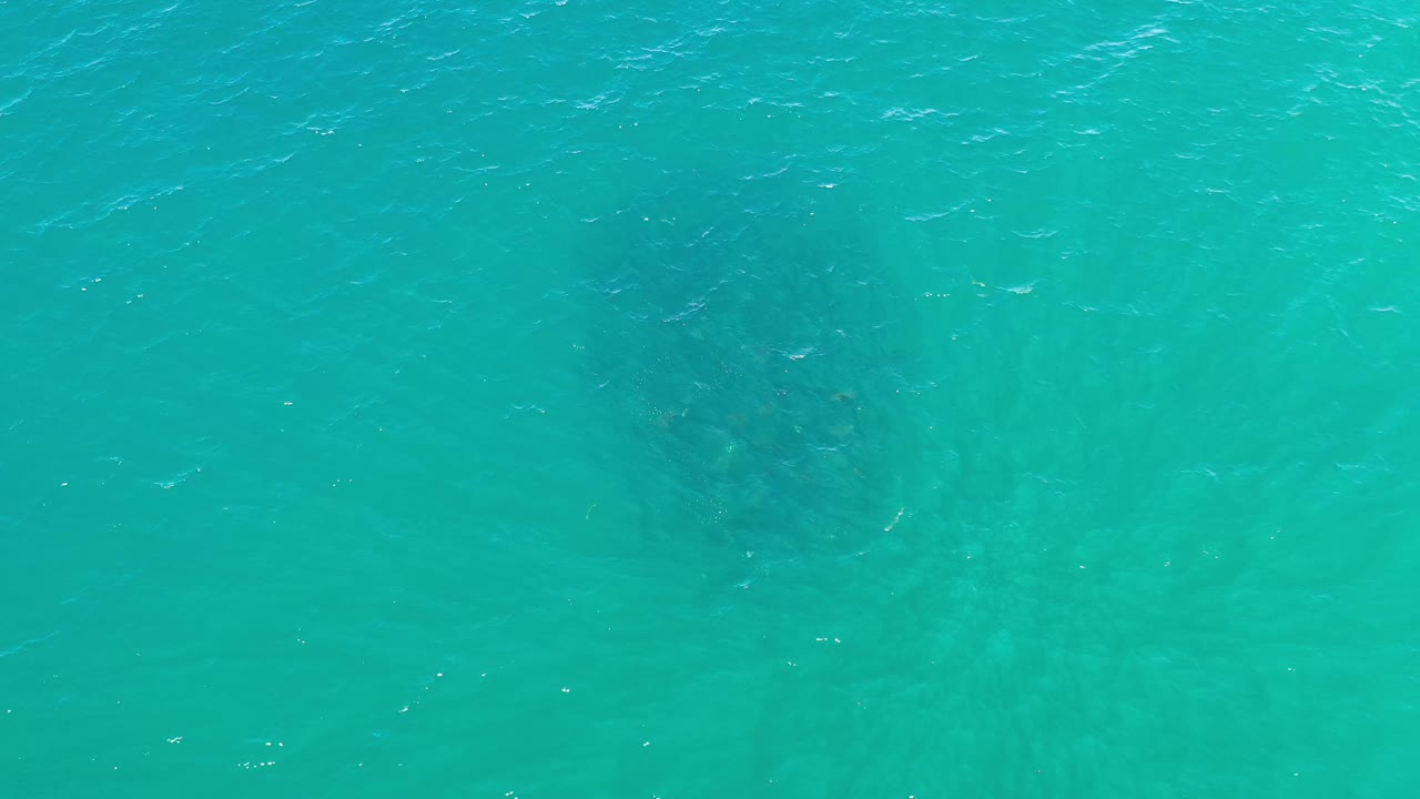 Overhead Los Cabos water frame with the fish cluster sitting deeper in the green-blue water and small bright highlights on the surface, with no visible people.