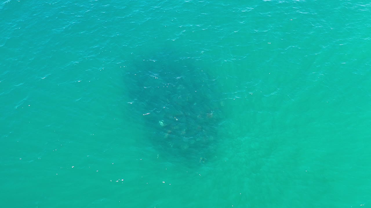 Dark underwater shape visible through green-turquoise sea.
