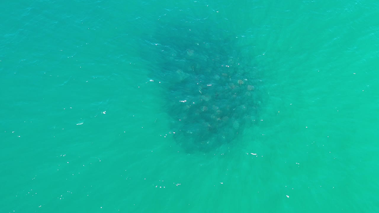 Overhead ocean view with whale shadow beneath turquoise water