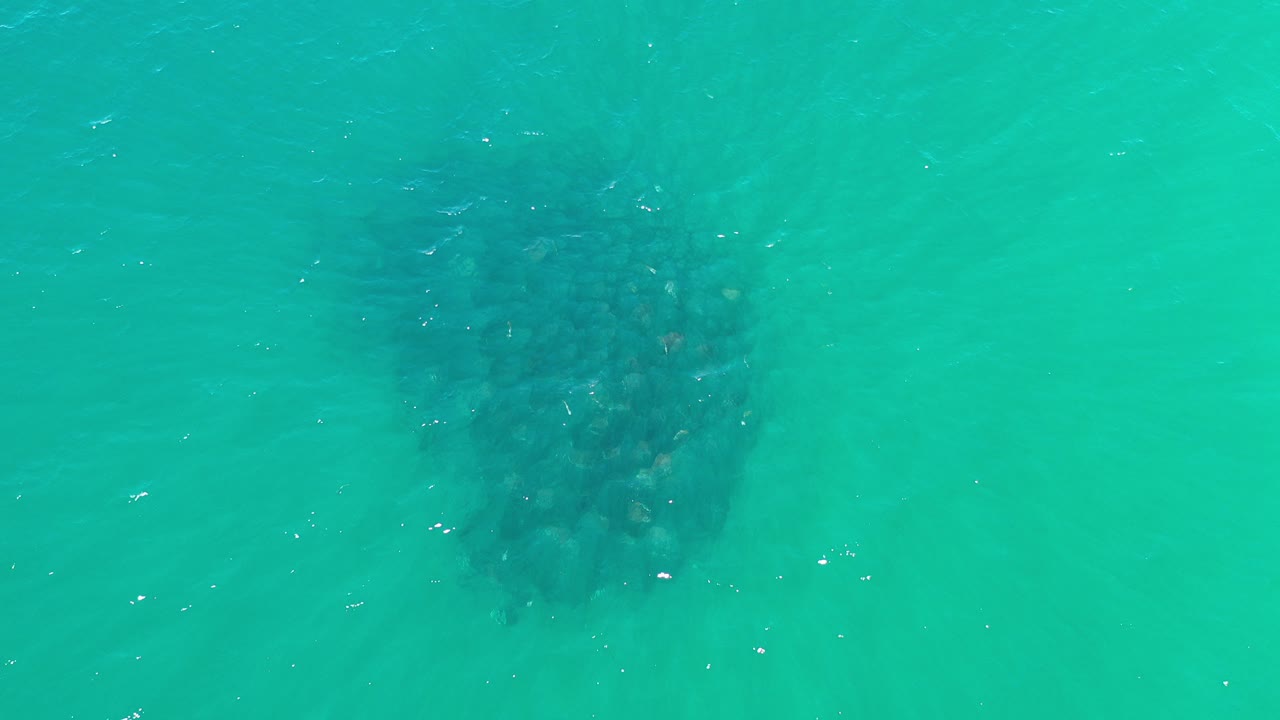 Overhead view of a dark school of fish under turquoise water in Los Cabos, Mexico, with scattered surface highlights and no visible people.