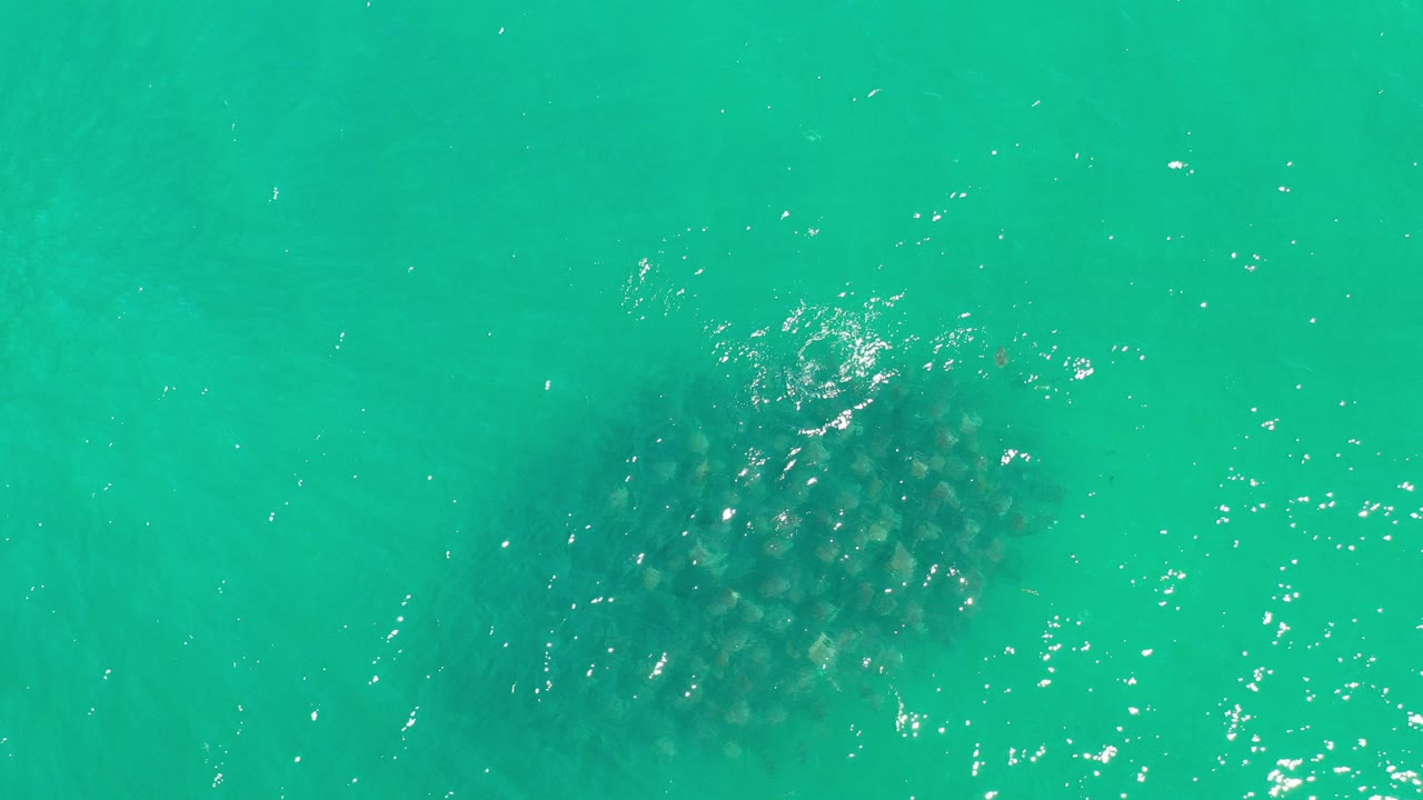 Overhead Los Cabos water view with a dark mottled submerged form left of center, bright surface sparkle, and no visible people.