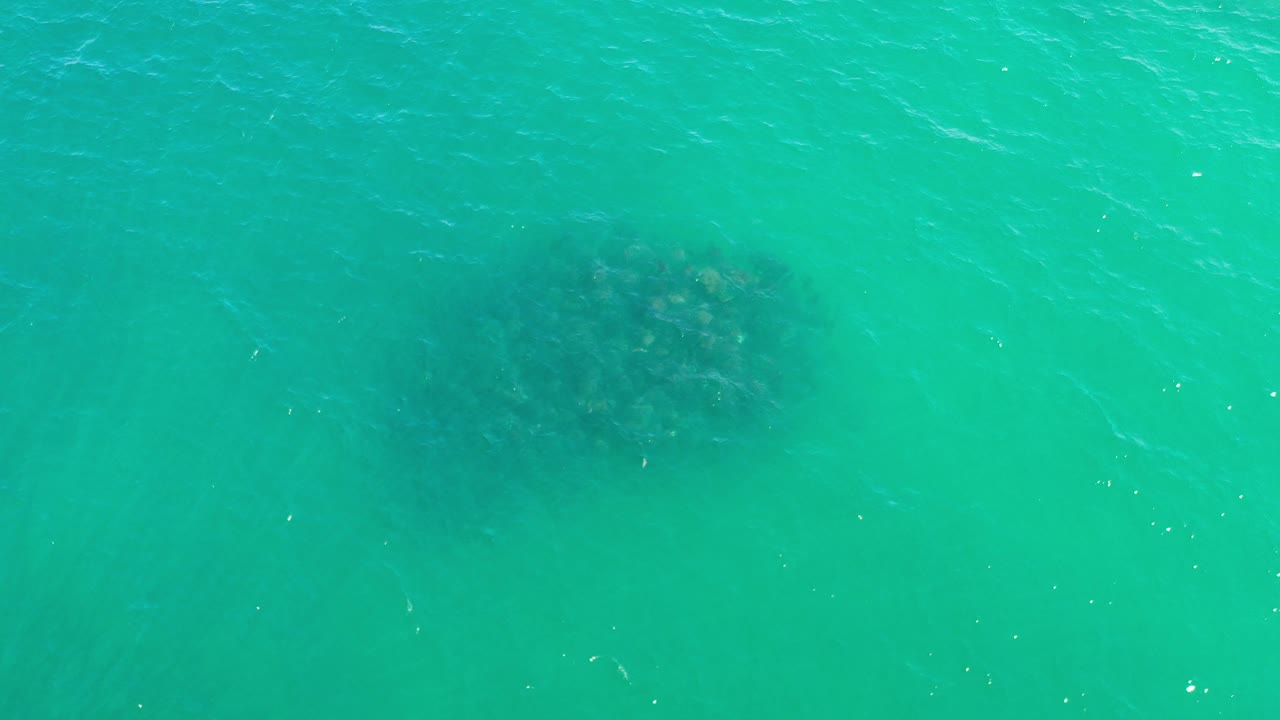 Overhead view of turquoise ocean in Los Cabos with a dark clustered shape beneath the surface near the lower left and no visible people.