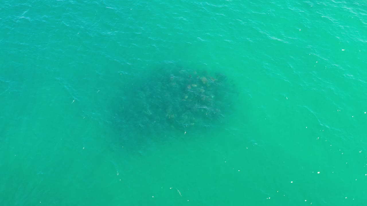 Overhead Los Cabos ocean frame with faint ripples and a dark submerged cluster drifting near the lower center, with no visible people.