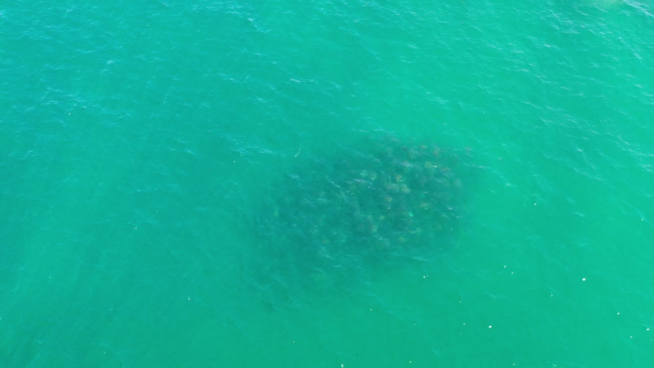 Overhead view of teal water in Los Cabos, Mexico with a dark submerged oval near the upper left area and no visible people.