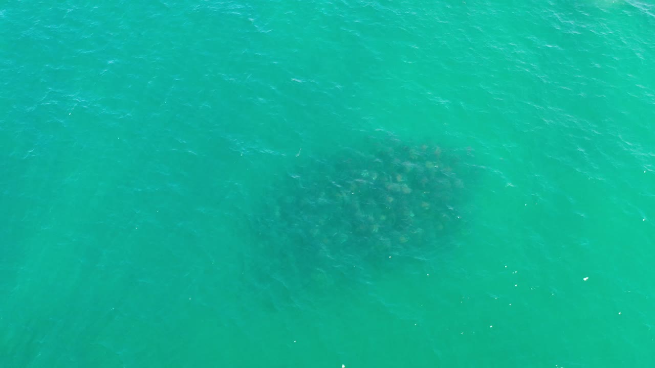 Teal ocean water in Los Cabos, Mexico shows a darker blurred ellipse below the surface, slightly nearer the center than the first frame, with no visible people.
