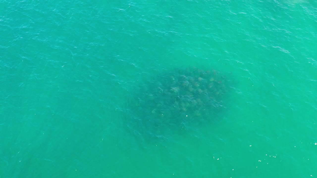 Teal water with a dark oval form under the upper right area.