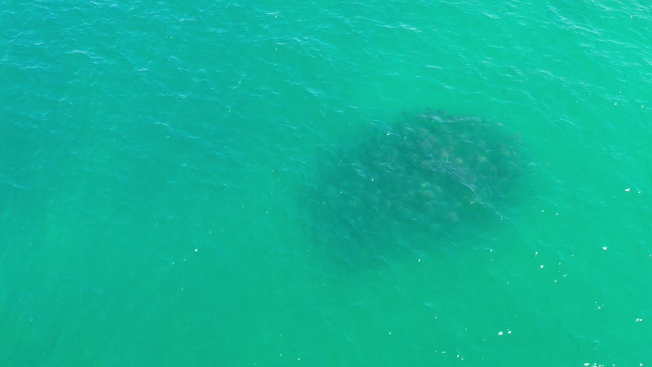Overhead view of blue-green ocean water in Los Cabos, Mexico, with a dark underwater cluster near the upper left and no visible people.