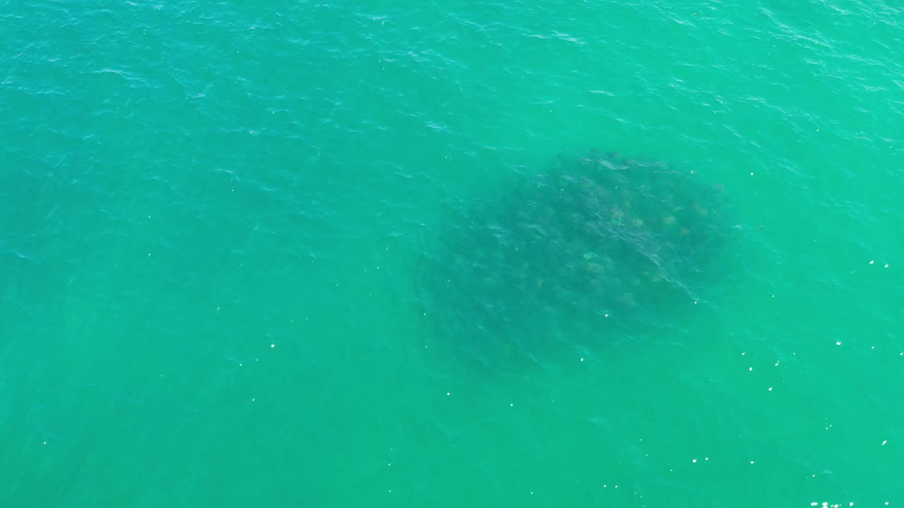 Blue-green ocean surface in Los Cabos, Mexico, with sun glints and a dark submerged mass centered high in the frame, with no visible people.
