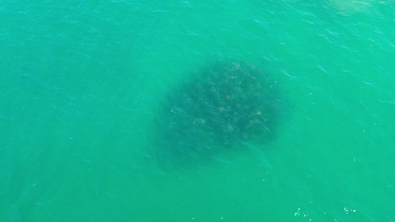 Overhead view of transparent green-blue ocean water in Los Cabos, Mexico, with a dark submerged patch near the upper left and no visible people.