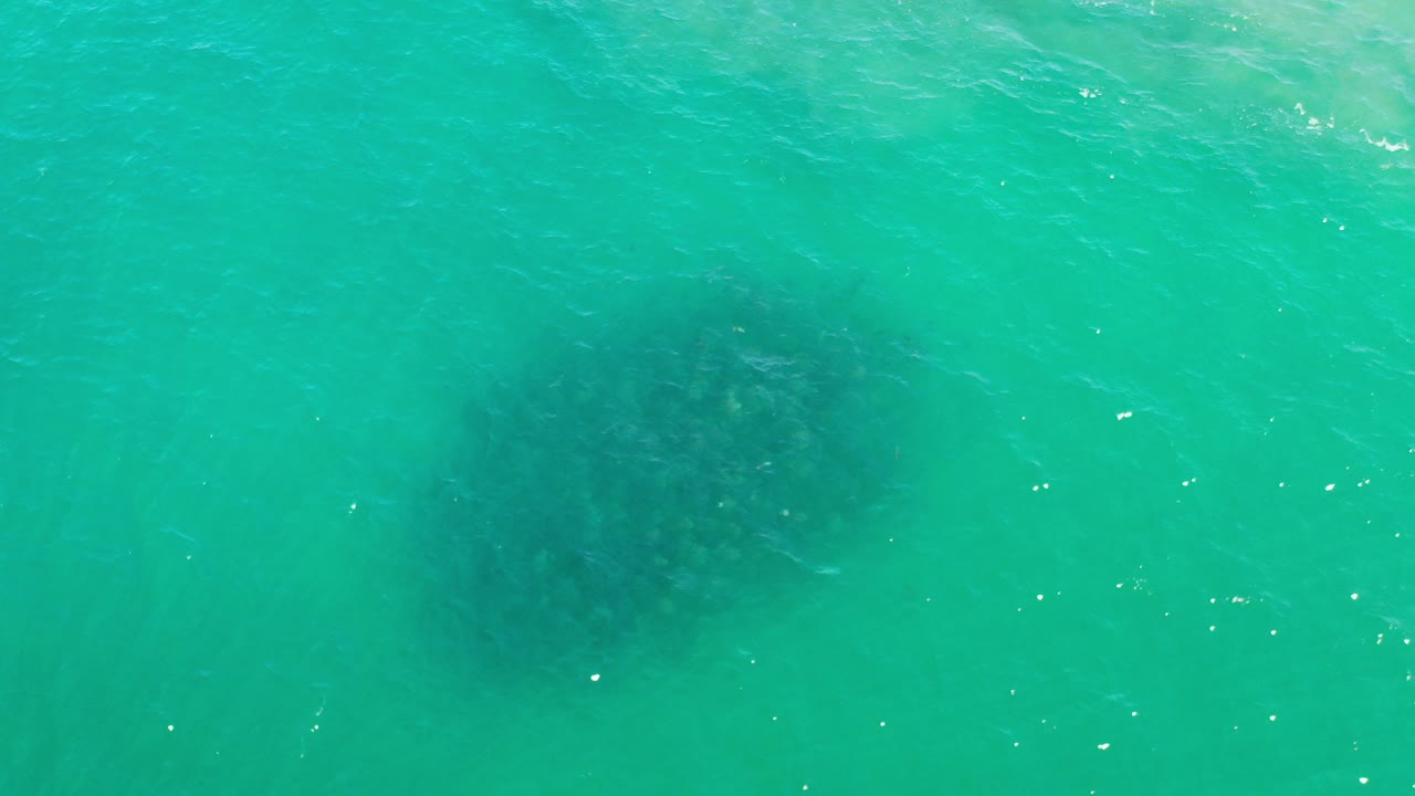 Green-turquoise Los Cabos seawater fills the frame with a dark submerged shadow left of center and small sun flecks on the surface, with no visible people.