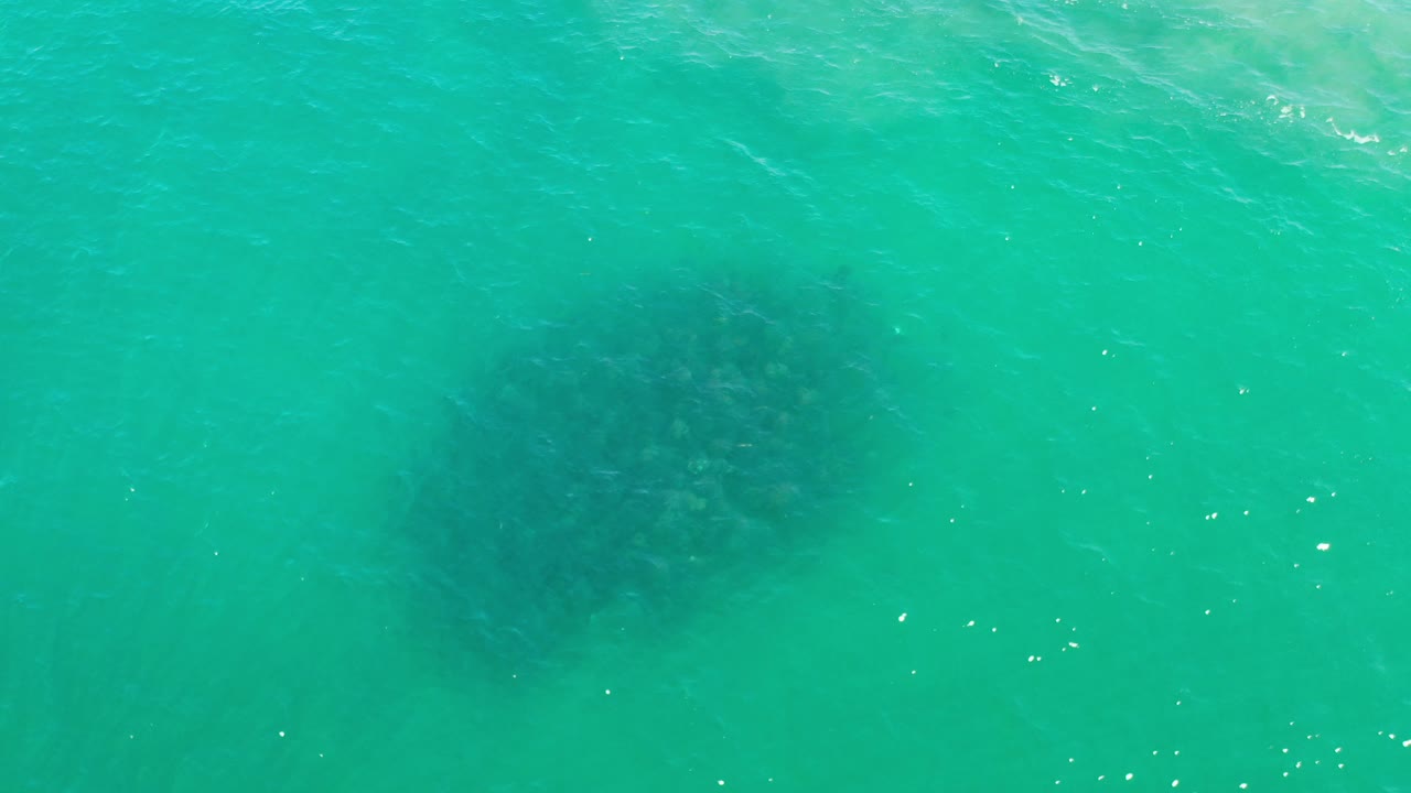 Green ocean water with a soft dark shadow under the surface.